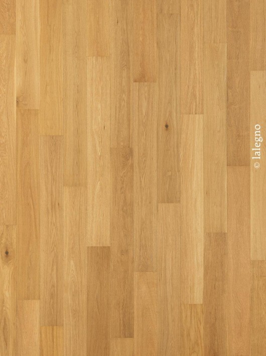Natur oljen hrastov natur parket BRIGHTON XL vzorec struktura